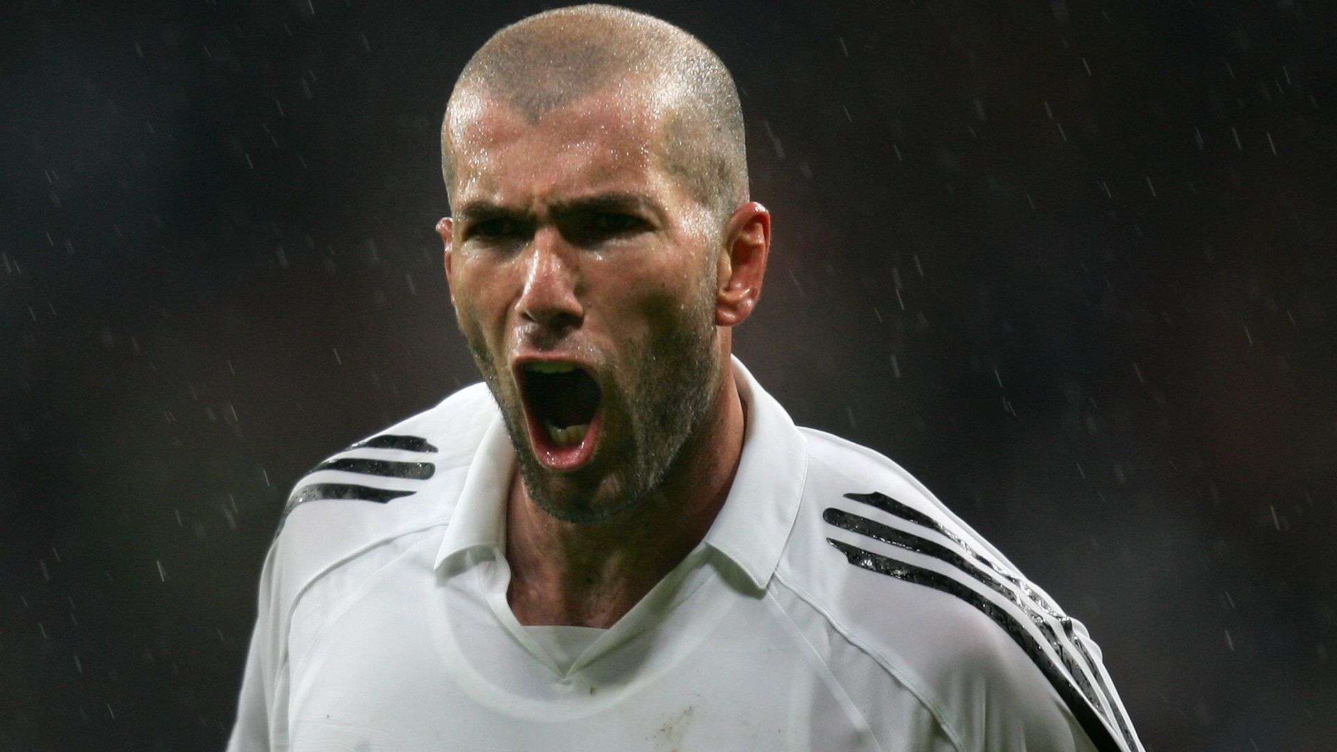 流离失所 流离失所